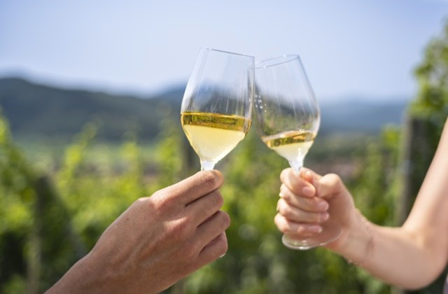 the alsatian wines to discover and taste with Alsace Wine Tours